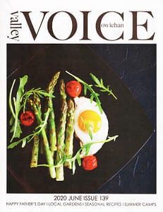 CSA Voice-1