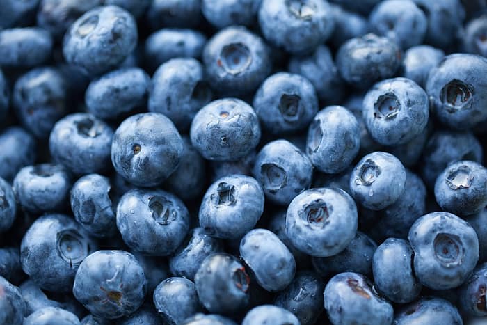 FREEZE-DRIED BLUEBERRIES